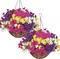 Artificial Hanging Flowers Plants Basket for Outdoors Indoor, 2 Set Faux Silk White Yellow Purple Fuchsia
